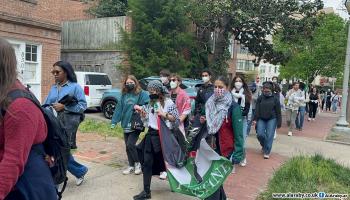 رُفعت أعلام فلسطين خلال التظاهرات (محمد البديوي/ العربي الجديد)
