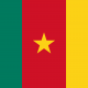 Flag_of_Cameroon.svg_.png