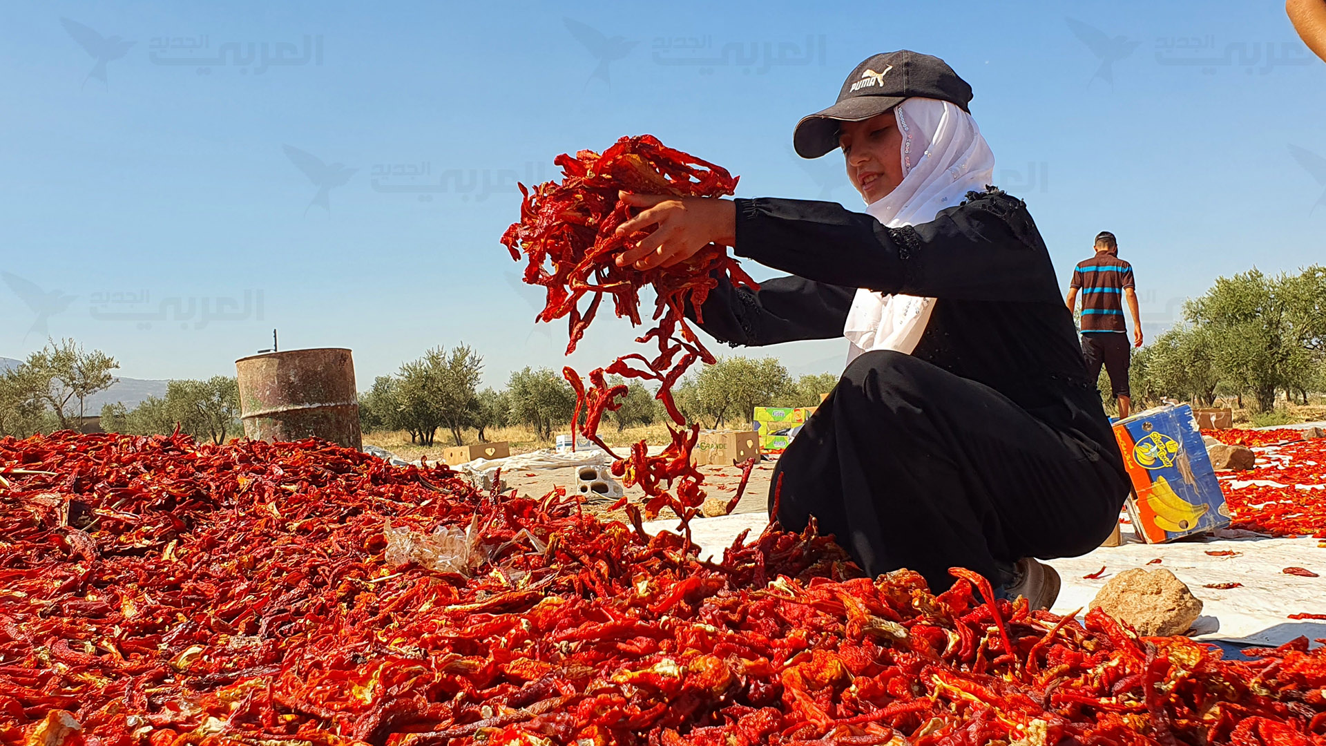 تضطر نساء إلى العمل في إعداد المؤونة على الرغم من الأجر القليل (العربي الجديد)