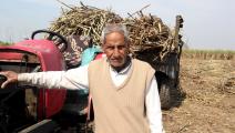 مزارع هندي يجمع محصول قصب السكر/Getty