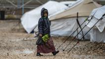 أطفال مقاتلي داعش في مخيم روج في سورية (دليل سليمان/ فرانس برس)