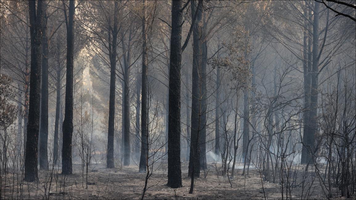 تواصل عمليات إخماد حرائق الغابات بتركيا