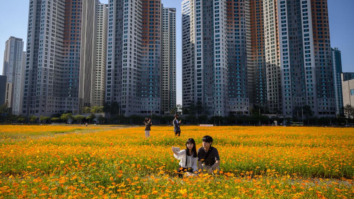 حقل زهور أمام مجمع سكني في كوريا الجنوبية (إد جونز/ فرانس برس)