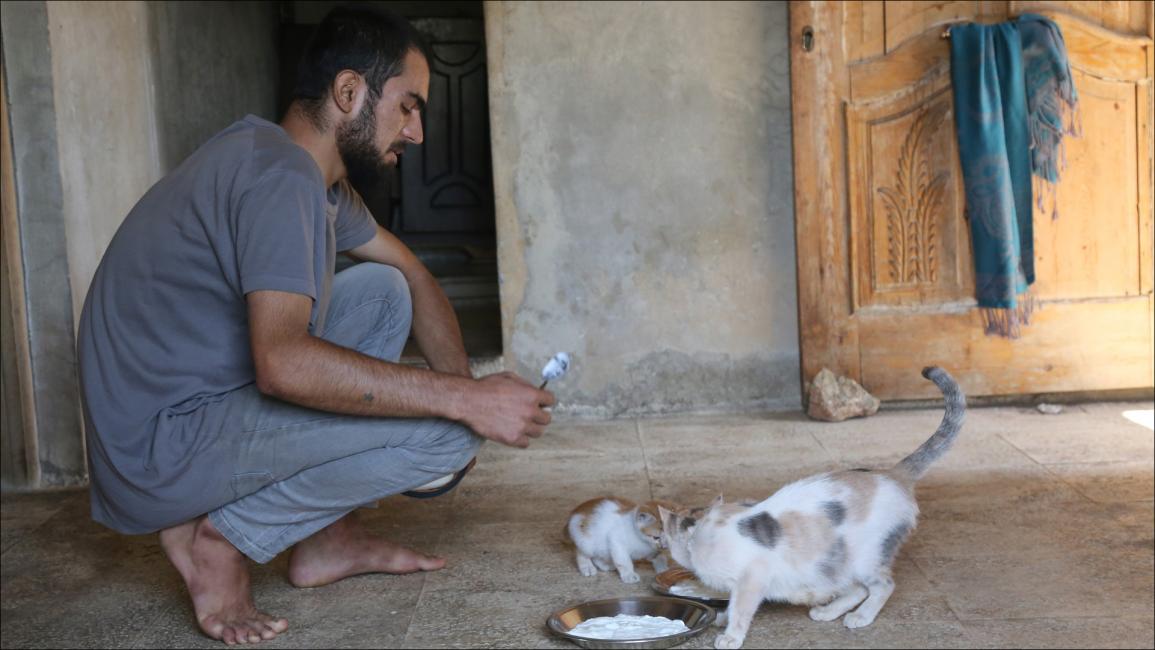 إدلب.. شاب سوري يعتني بـ 35 قطة رغم ضيق إمكانياته