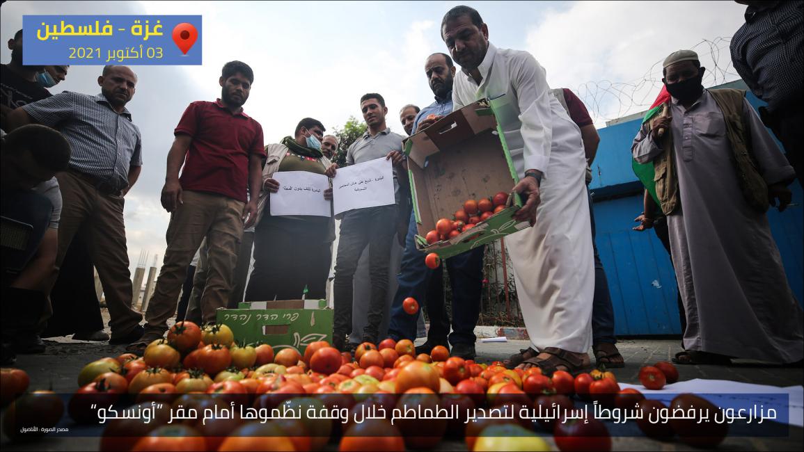 مزارعون يرفضون شروطاً إسرائيلية لتصدير الطماطم خلال وقفة نظّموها أمام مقر “أونسكو”