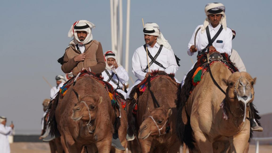 جزيلات العطا.. مهرجان قطري تتألق فيه الإبل الأصيلة