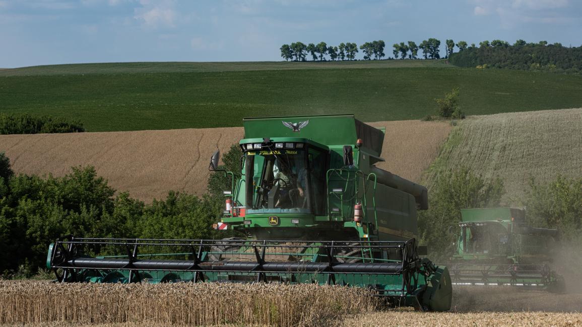 تأثير كبير للغزو الروسي على مزارعي أوكرانيا (ألكسي فورمان/Getty)