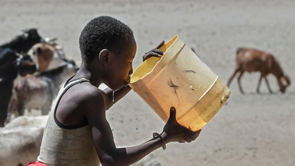 كينيا تواجه أزمة كبيرة بسبب الجفاف (طوني كارومبا/ فرانس برس)