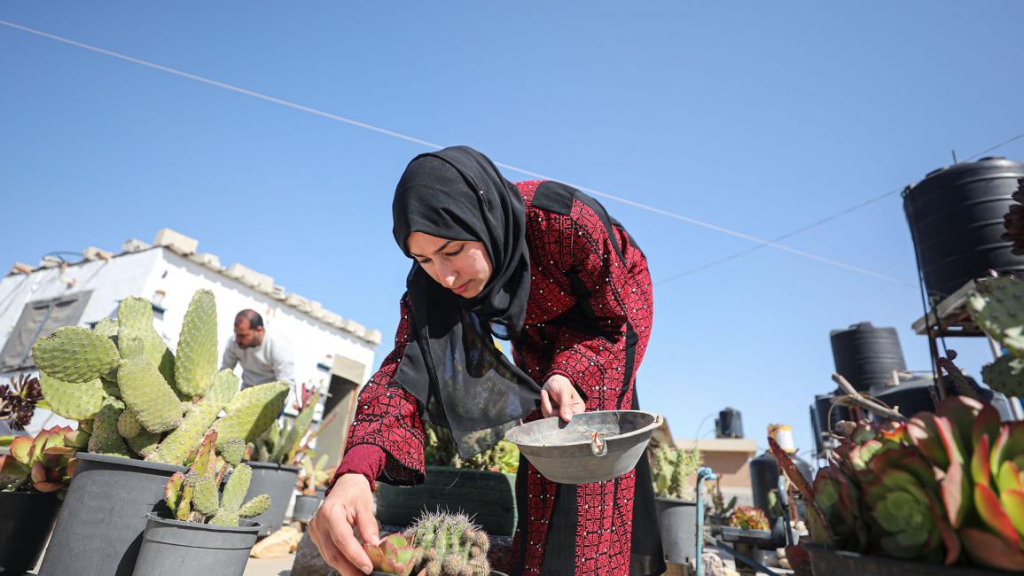 زوجان فلسطينيان يصنعان من الألوفيرا مستحضرات للجمال في غزة