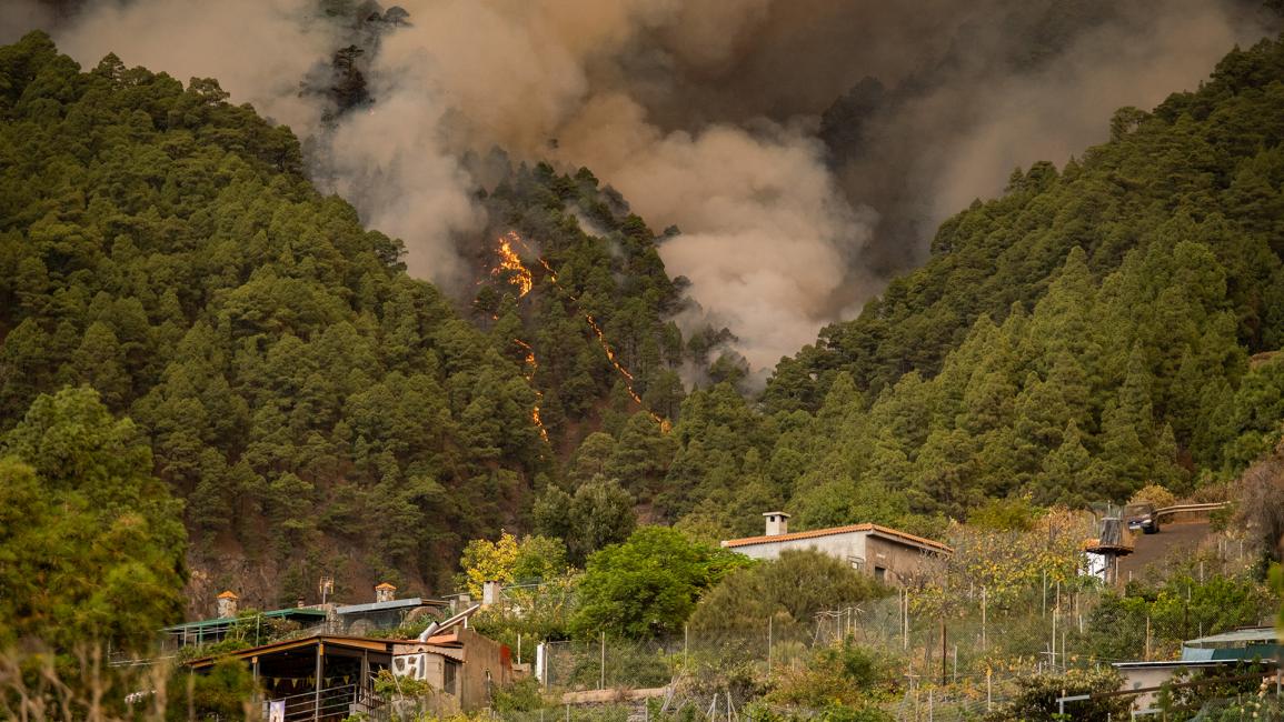 التهمت الحرائق أكثر من 200 هكتار من الأراضي (أندريس جوتيريز/ الأناضول)