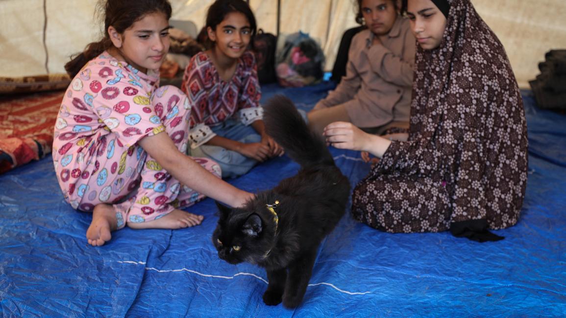 أطفال يلعبون مع قطة في مخيم تديره الأمم المتحدة للنازحين الفلسطينيين في خانيونس (لؤي أيوب/ Getty)