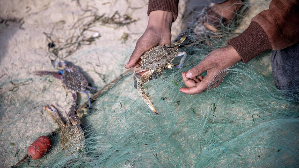 صيادو غزة.. صنارة لقمة العيش في مرمى القناص الإسرائيلي