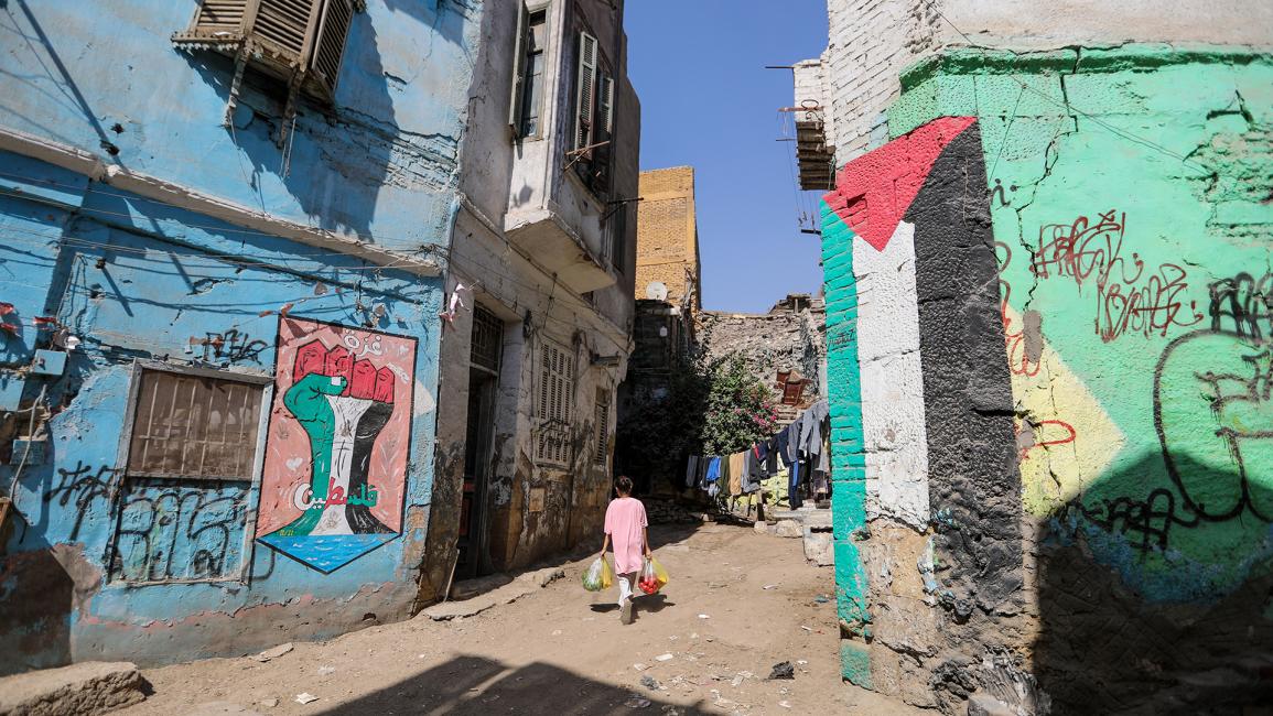 تظهر الجداريات في منطقة الدرب الأحمر في القاهرة الدعم لفلسطين (أحمد حسب الله/ Getty)