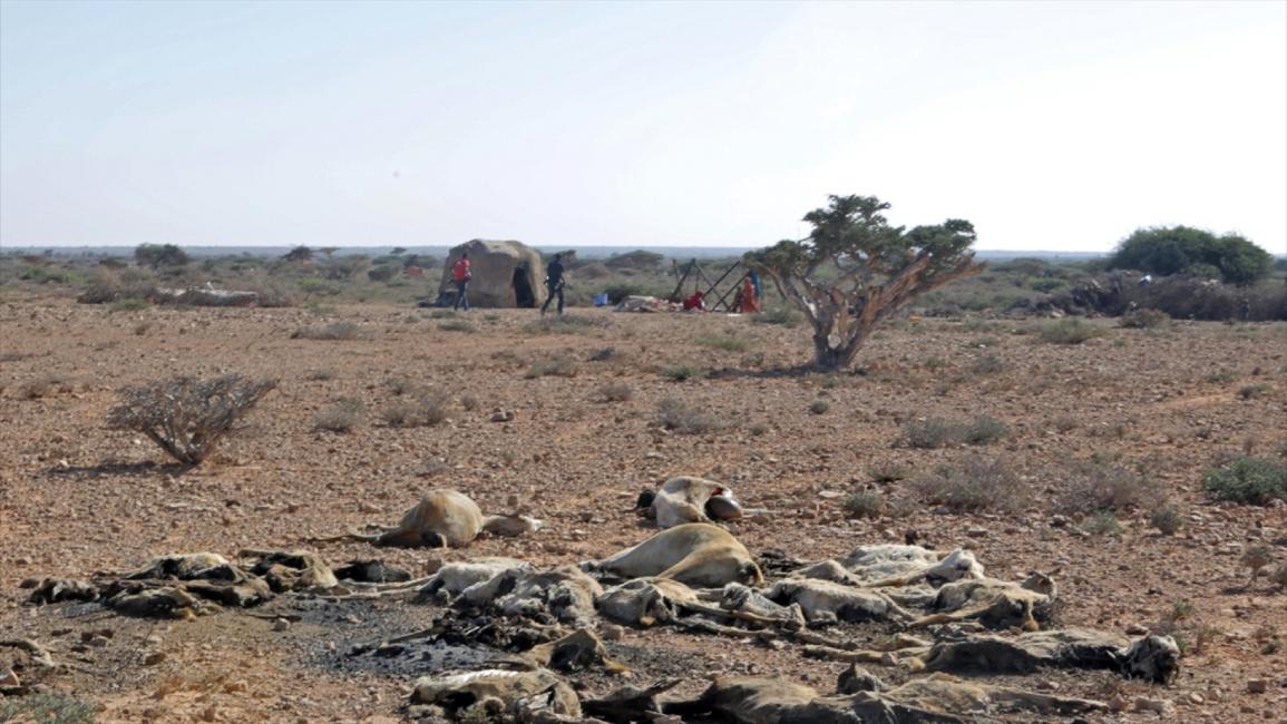 جفاف الصومال6
