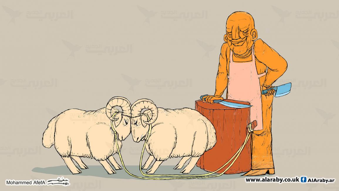 كاريكاتير خراف العيد / ابو عفيفة
