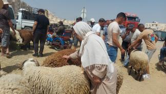 أحد أسواق الماشيةفي تونس