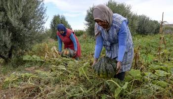 منطقة زراعية في تونس، 14 أكتوبر 2021 (Getty)