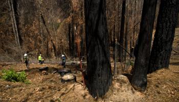 حرائق غابات في كاليفورنيا (باتريك تي فالون/ فرانس برس)