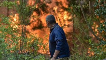تزداد نسبة حرائق الغابات (غويليرمو سالغادو/ فرانس برس)