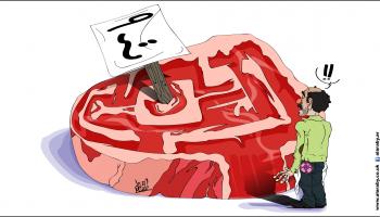 كاريكاتير اسعار اللحوم مصر / نجم