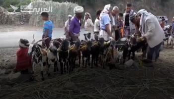 الفقر والغلاء ينغصان استعدادات عيد الأضحى في اليمن