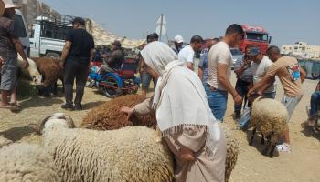 أحد أسواق الماشيةفي تونس