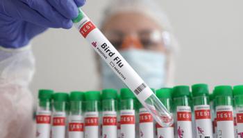 إنفلونزا الطيور | رجل يحمل عينات في مختبر 6 يونيو 2024 (رويترز)