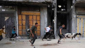 فلسطينيون ضاحكون يركضون خلف ماعز في أول أيام عيد الأضحى/خانيونس جنوبي قطاع غزة 16/6/2024 (بشار طالب/فرانس برس)