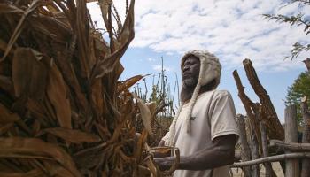  الجفاف أتلف 80% من المحاصيل في زيمبابوي، 2 يوليو 2024 (فرانس برس)