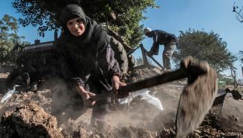 الزراعة في مصر KHALED DESOUKI/AFP