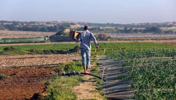 غزة: الأرض الحدودية المسروقة - ملحق فلسطين