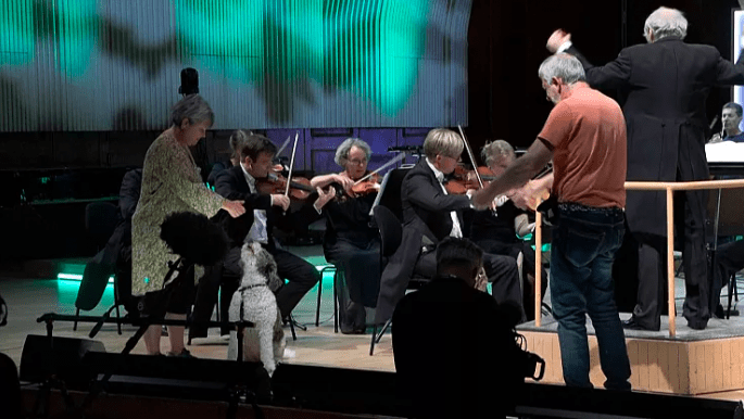 Highly Anticipated Performance: Dogs Bark in Sync with Danish Chamber Orchestra