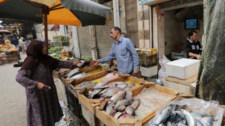 Fish Cart Vendor