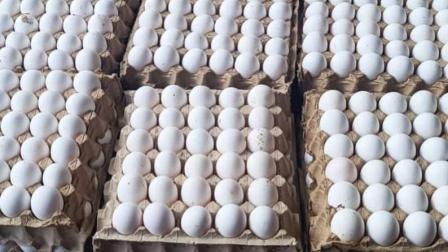 أسعار البيض تشق على سكان إدلب - فيسبوك