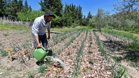 يتأثر مزارعو تونس بتغير المناخ (فتحي بلعيد/ فرانس برس)