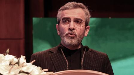 علي باقري يتحدث في مؤتمر صحافي في طهران، 1 يونيو 2024 (فرانس برس)