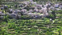 قرية بتير القدس